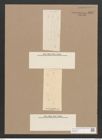 Pleurosigma rhomboides Cleve (de-Toni-Nr.: Genus 13, Species 1048) Zeichnungen Sammlung Grunow Nr. 1887 (NHMW-BOT-W0369001)